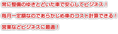 常に整備のゆきとどいた車で安心してビジネス！毎月一定額なのであらかじめ車のコスト計算できる！営業などビジネスに最適！